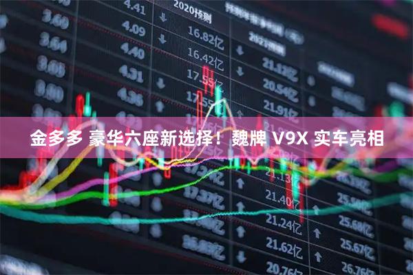 金多多 豪华六座新选择！魏牌 V9X 实车亮相