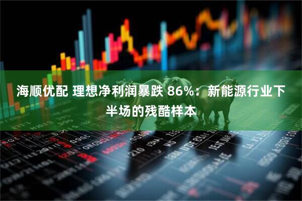 海顺优配 理想净利润暴跌 86%:新能源行业下半场的残酷样本