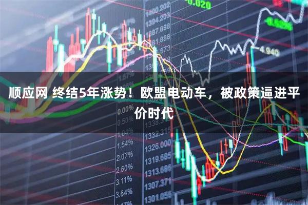 顺应网 终结5年涨势！欧盟电动车，被政策逼进平价时代
